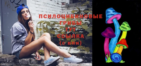 ECSTASY Алексин