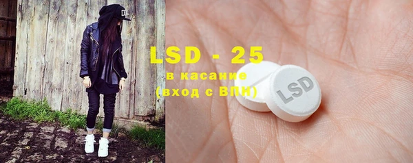 стаф Елабуга