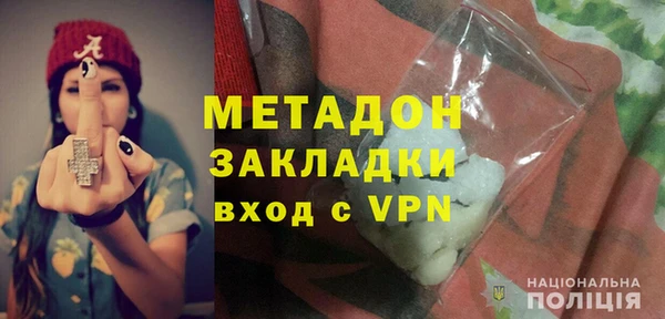 индика Каменногорск