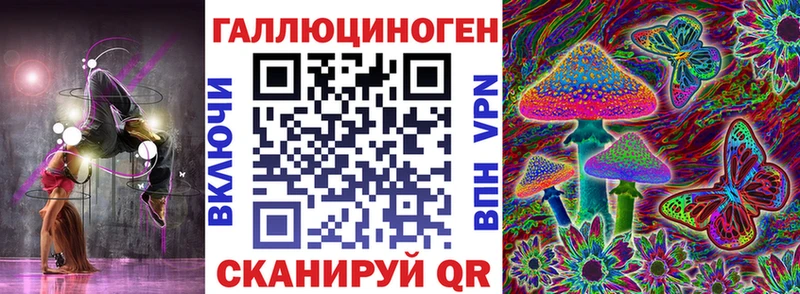 как найти   Петровск-Забайкальский  Галлюциногенные грибы Magic Shrooms 